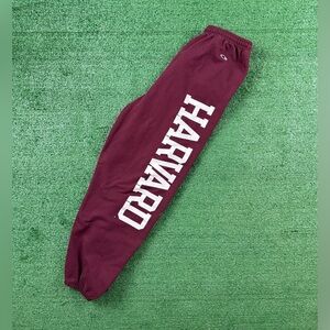Vintage Harvard champion sweatpants size large.